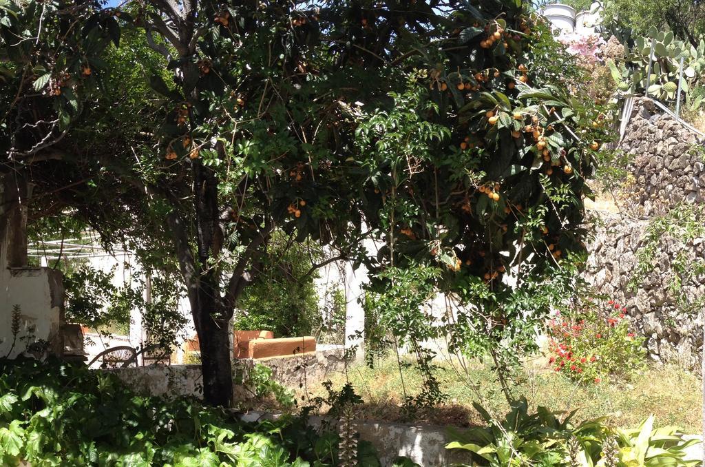 Casa Del Caminero En Tejeda Guest House Bagian luar foto